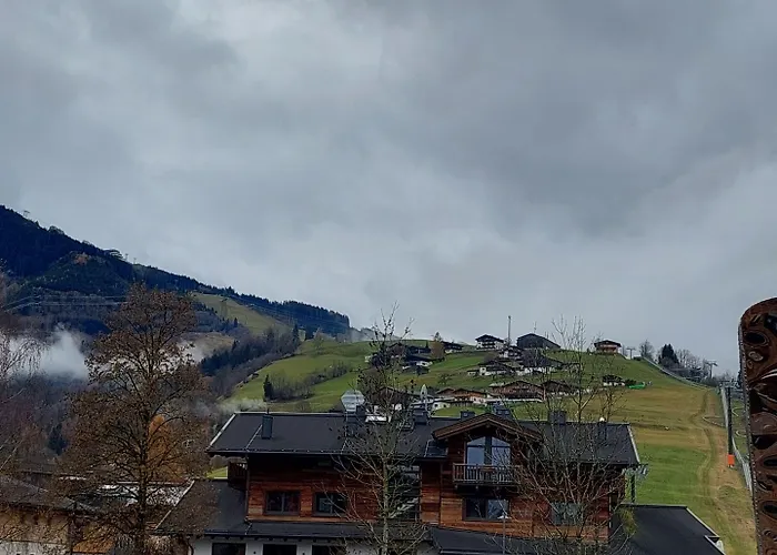 Auhof Wirtshaus & شقة فندقية