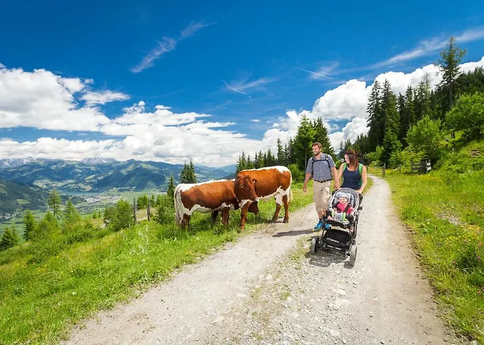 شقة فندقية Auhof Wirtshaus & 4*